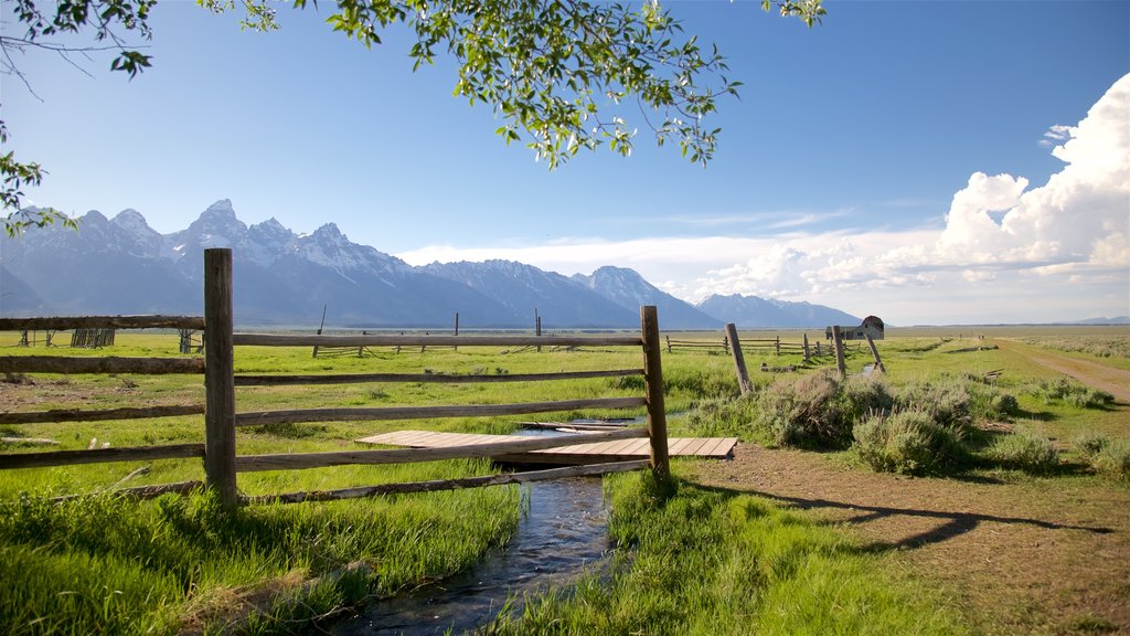 Mormon Row Historic District showing landscape views, farmland and a river or creek