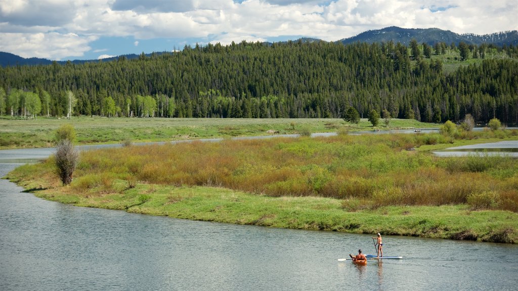 Oxbow Bend que incluye kayaks o canoas, vista panorámica y un río o arroyo