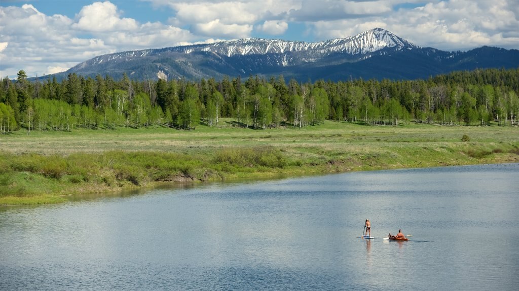 Oxbow Bend showing wetlands, kayaking or canoeing and a river or creek