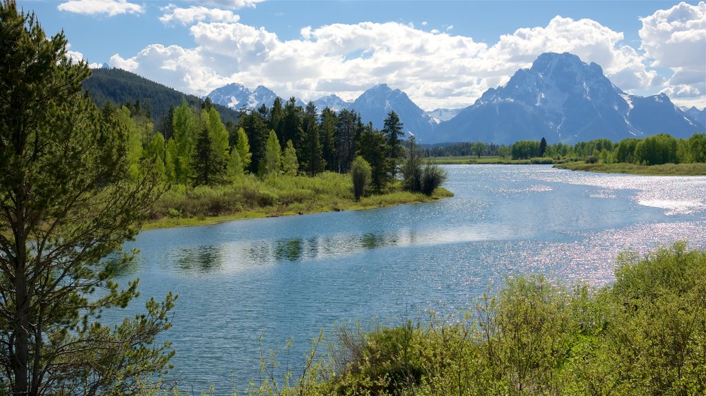 Oxbow Bend mostrando um rio ou córrego, cenas tranquilas e montanhas