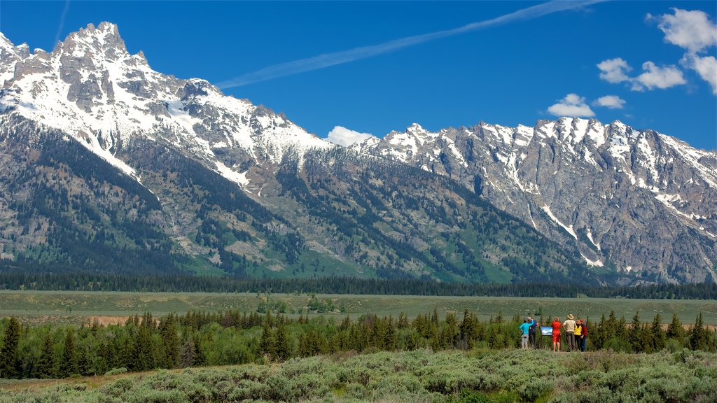 Parque Nacional Grand Teton ofreciendo montañas, vista panorámica y escenas tranquilas