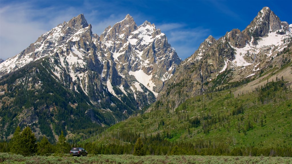 Grand Teton National Park og byder på udsigt over landskaber og bjerge