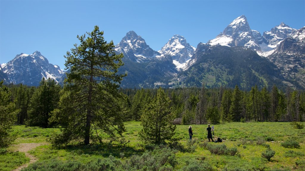 Grand Teton National Park mostrando montanhas, cenas tranquilas e paisagem