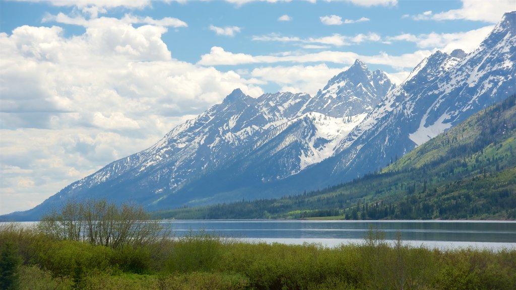 Jackson Lake welches beinhaltet Fluss oder Bach und Berge