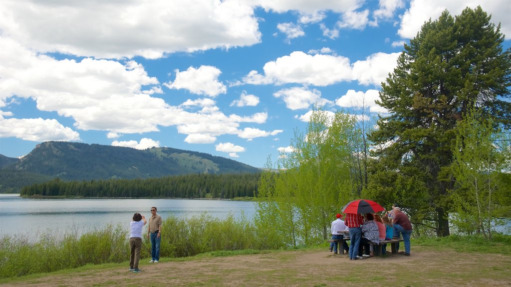 Jackson Lake featuring wetlands as well as a small group of people