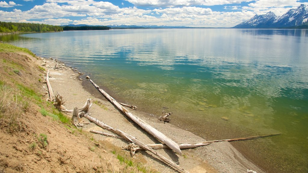 Jackson Lake caracterizando pântano e um lago ou charco