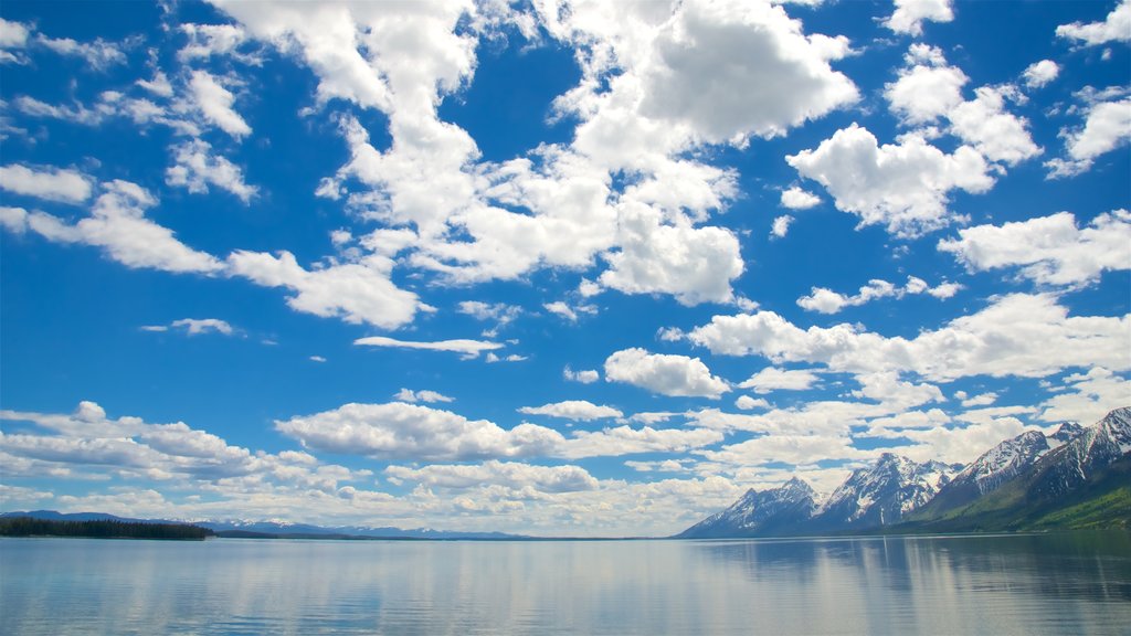 Jackson Lake ofreciendo un lago o espejo de agua