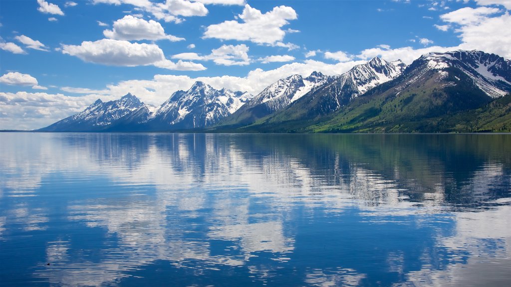 Jackson Lake which includes a lake or waterhole and mountains