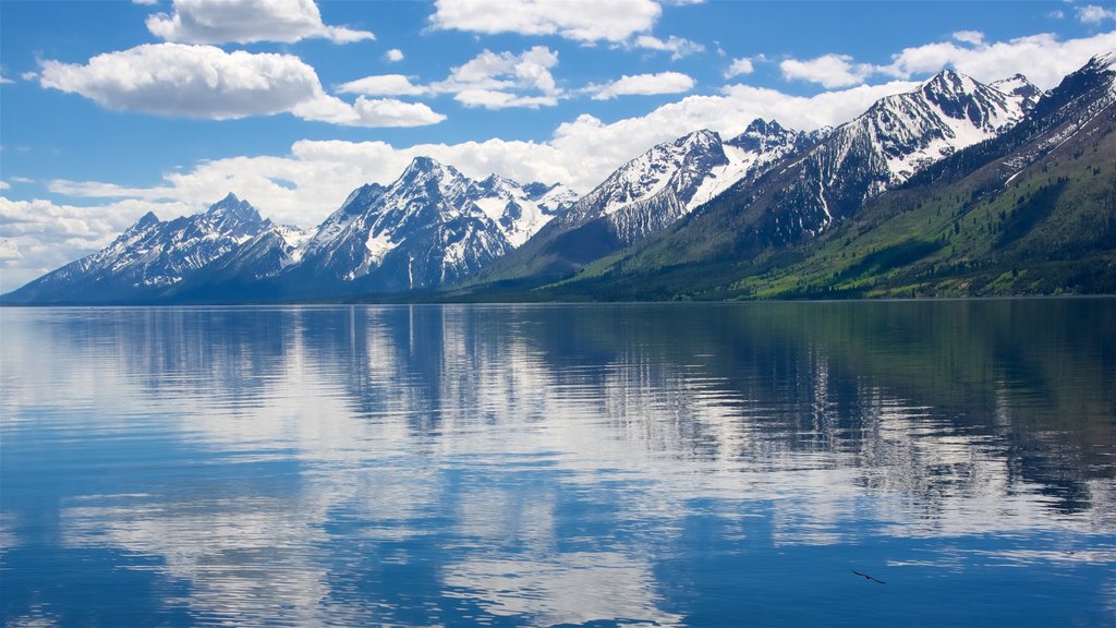 Jackson Lake que incluye un lago o espejo de agua y montañas