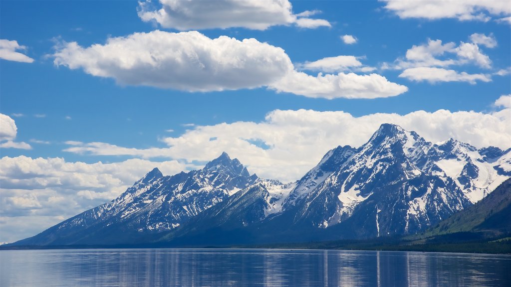 Jackson Lake que incluye montañas y un lago o espejo de agua