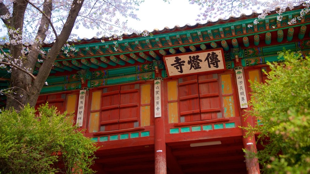 Jeondeungsa Temple showing wild flowers and heritage elements