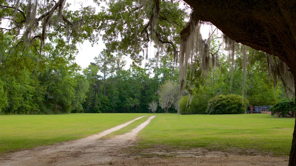 Pebble Hill Plantation som viser en park