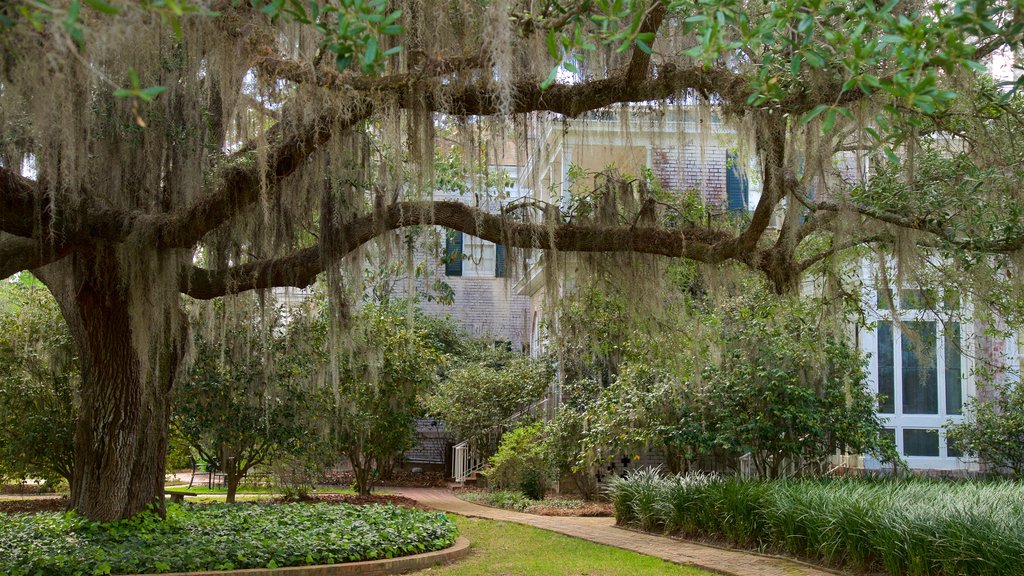 Pebble Hill Plantation which includes a garden and a house