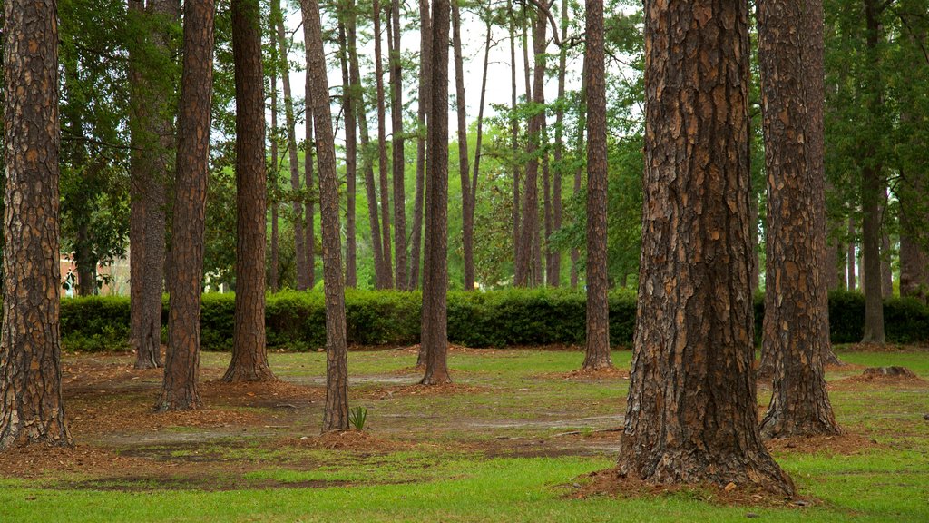 Fulwood Park mostrando um jardim