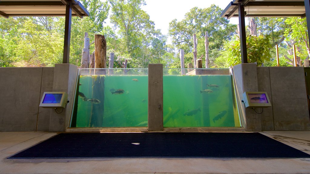 Go Fish Education Center showing marine life