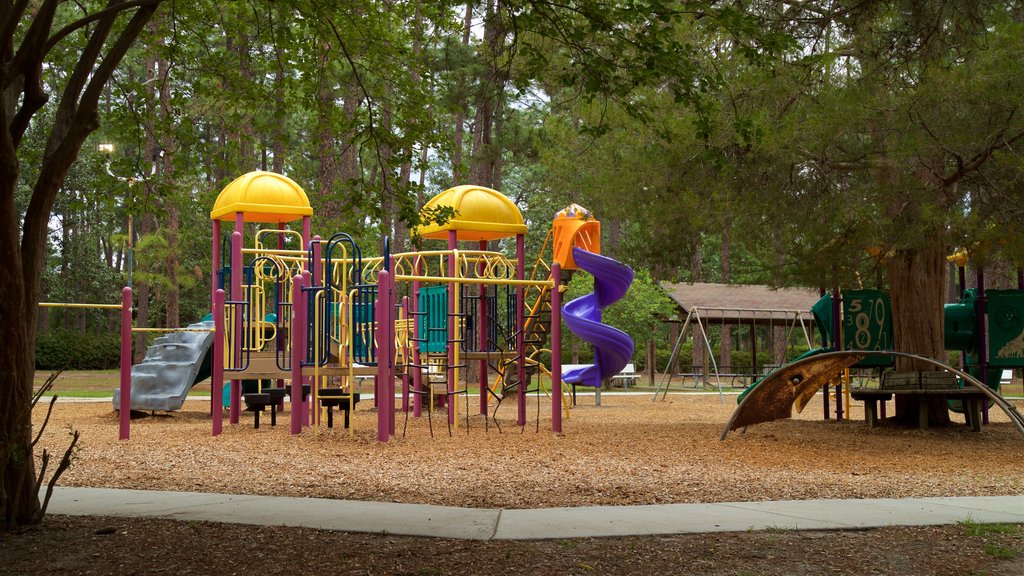 Fulwood Park showing a garden and a playground