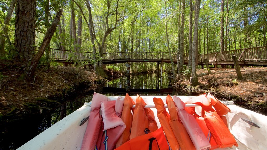 Parque Okefenokee Swamp mostrando botes, un río o arroyo y un puente