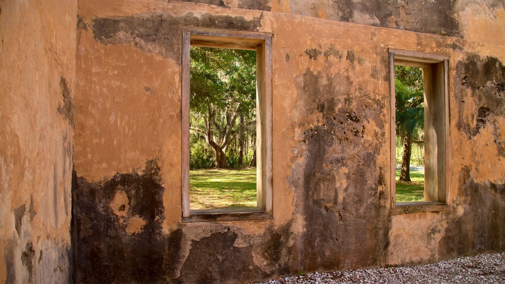 Horton House mostrando una ruina y elementos del patrimonio