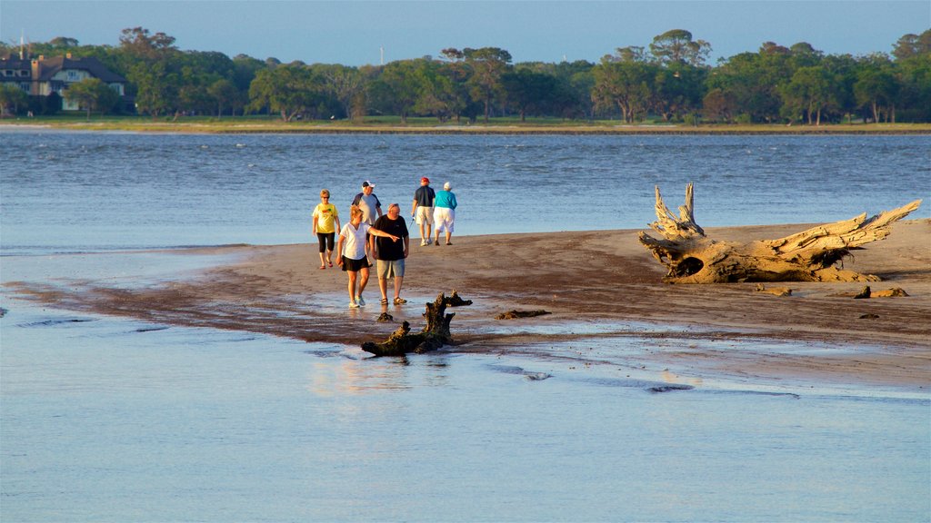 Driftwood Beach which includes a beach and general coastal views as well as a small group of people