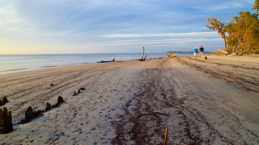 Driftwood Beach que incluye vista general a la costa, una playa y un atardecer