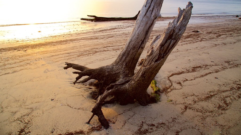 Driftwood Beach que incluye una puesta de sol, una playa y vistas generales de la costa