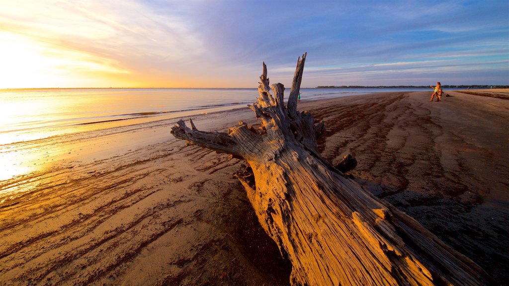 Driftwood Beach which includes a beach, a sunset and general coastal views