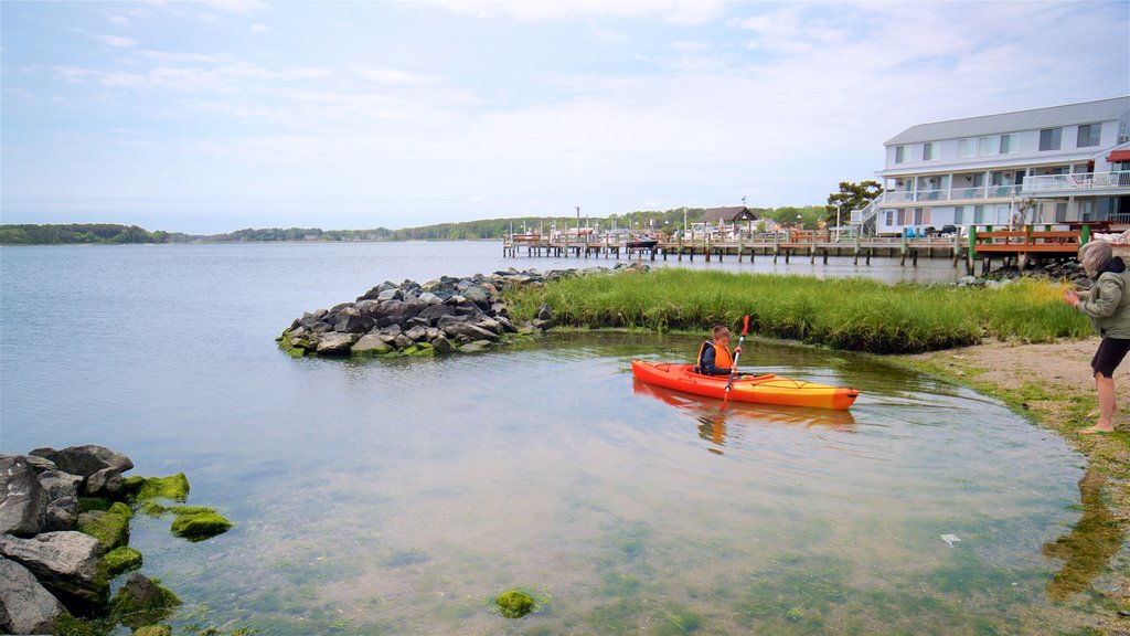 Dewey Beach mostrando vistas generales de la costa y kayak o canoa y también una familia