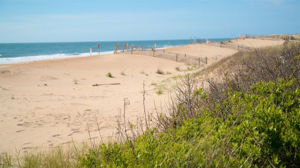 Bethany Beach showing a sandy beach and general coastal views