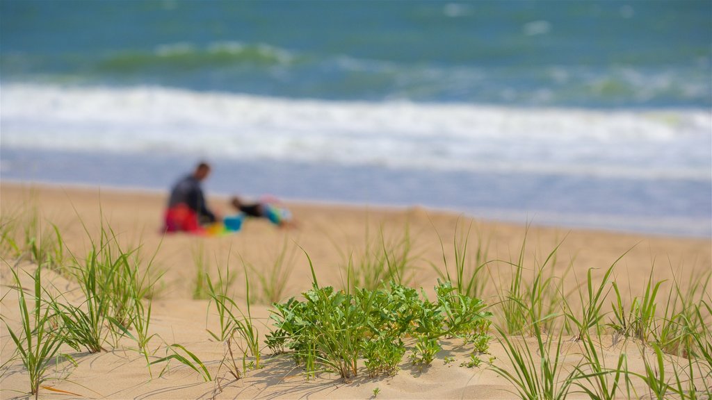 Bethany Beach mettant en vedette plage et vues littorales