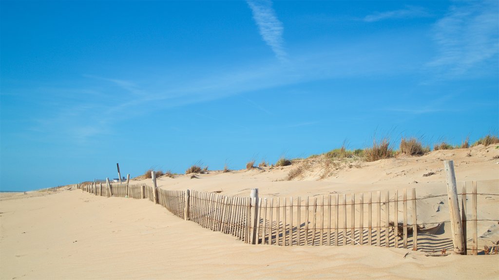 Fenwick Island State Park showing a sandy beach and general coastal views