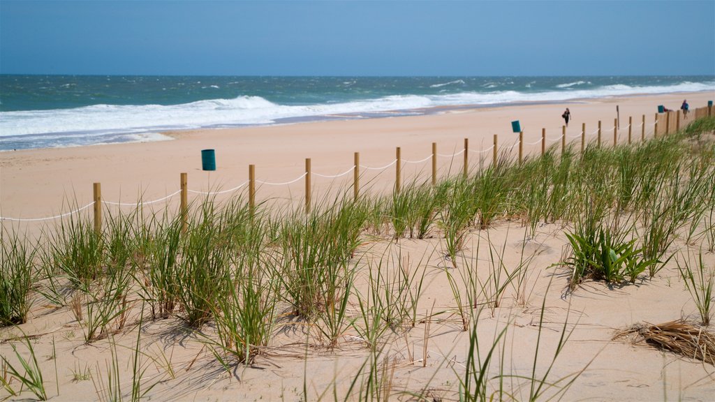 Fenwick Island que incluye una playa de arena y vista general a la costa