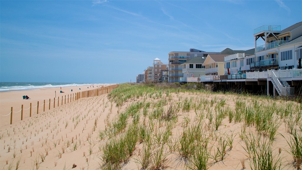 Fenwick Island which includes a beach and general coastal views