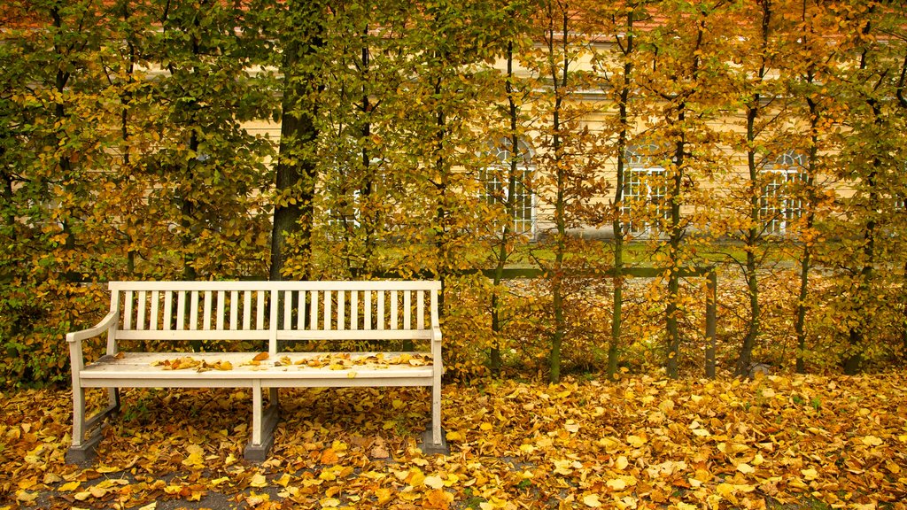 Castello di Charlottenburg caratteristiche di foglie d\'autunno e giardino