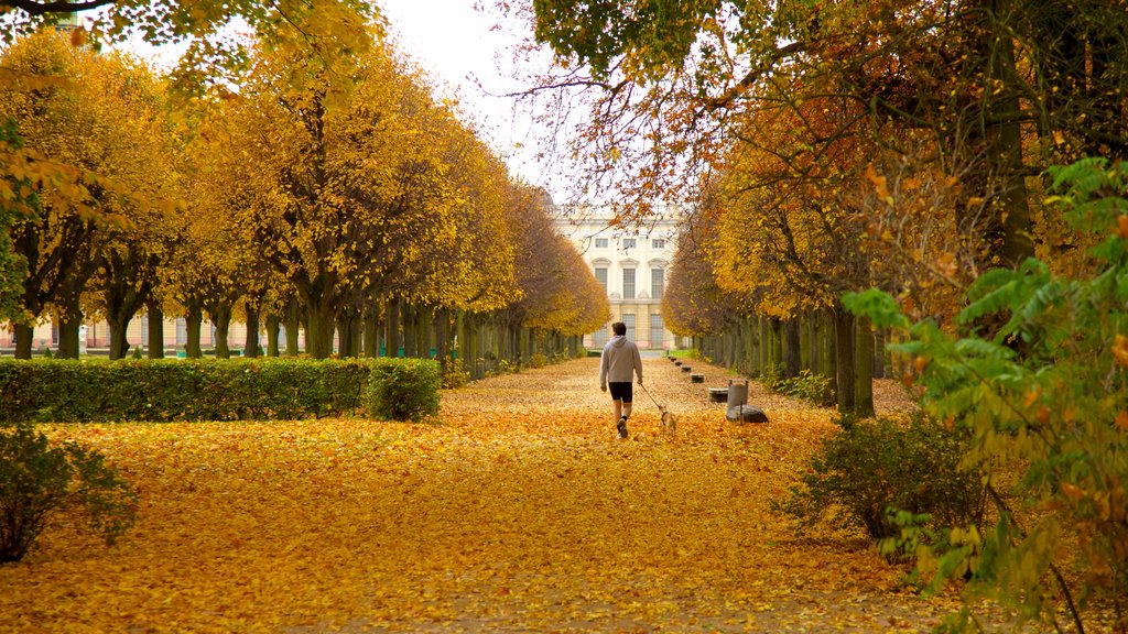 Schloss Charlottenburg which includes a city, landscape views and a garden