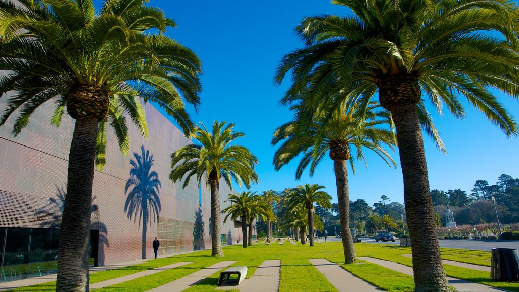 De Young Museum mostrando giardino e vista del paesaggio