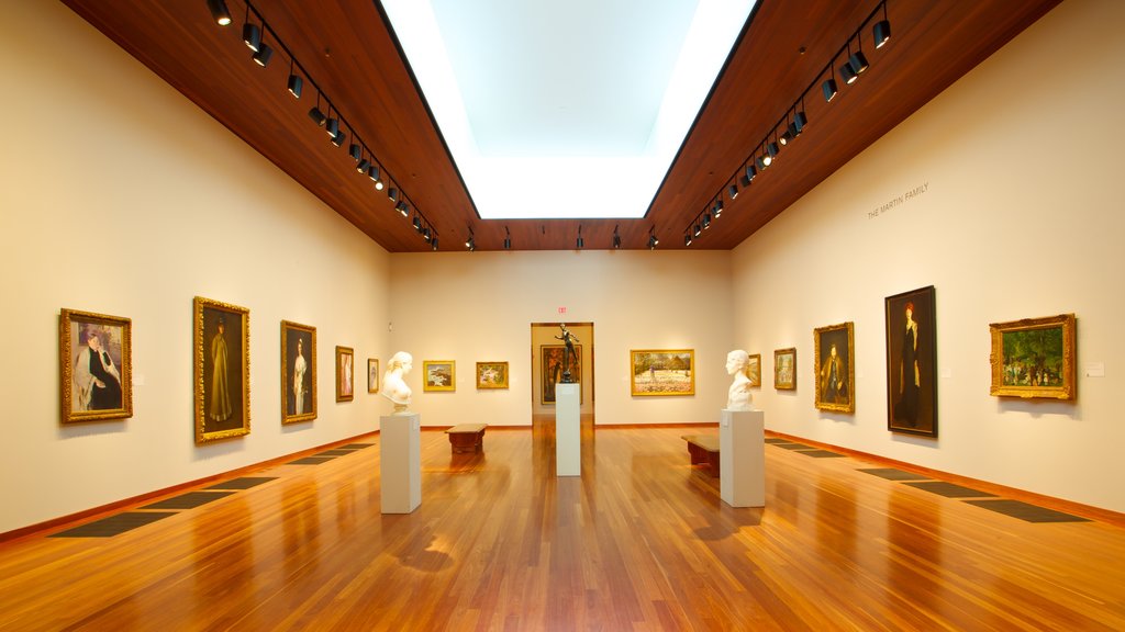 De Young Museum caratteristiche di vista interna e arte