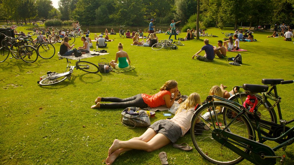 Amsterdam showing a garden, picnicking and cycling