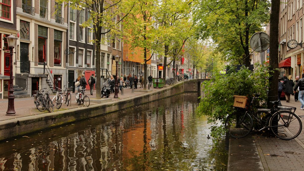 Amsterdam showing a river or creek, cycling and street scenes