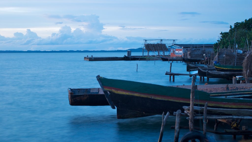 Panama featuring tropical scenes, boating and a marina