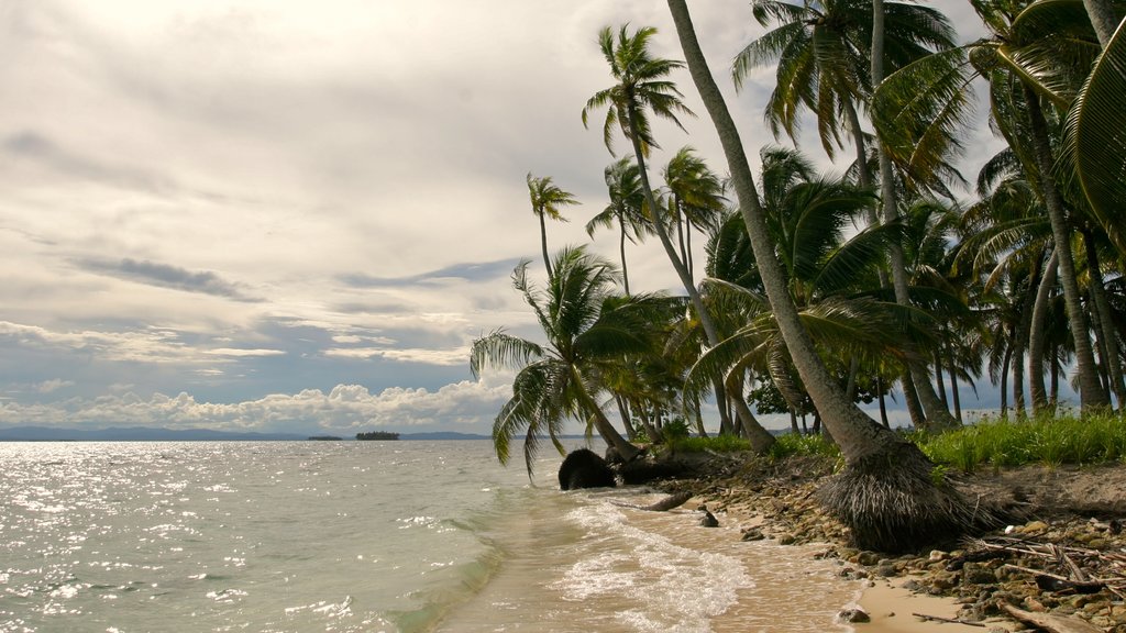 Panama showing landscape views, a beach and general coastal views