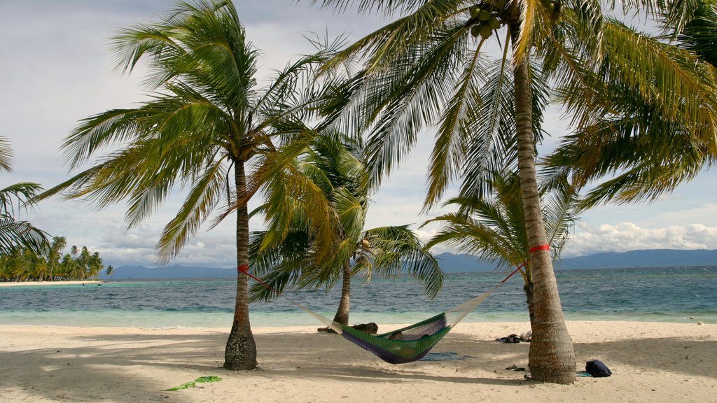 Panamá mostrando escenas tropicales, una playa y vista panorámica