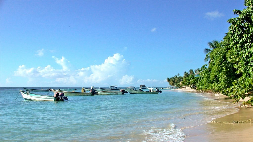 Trinidad which includes a sandy beach, landscape views and tropical scenes