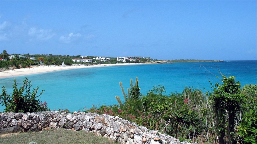 Anguila mostrando escenas tropicales, vistas generales de la costa y una playa