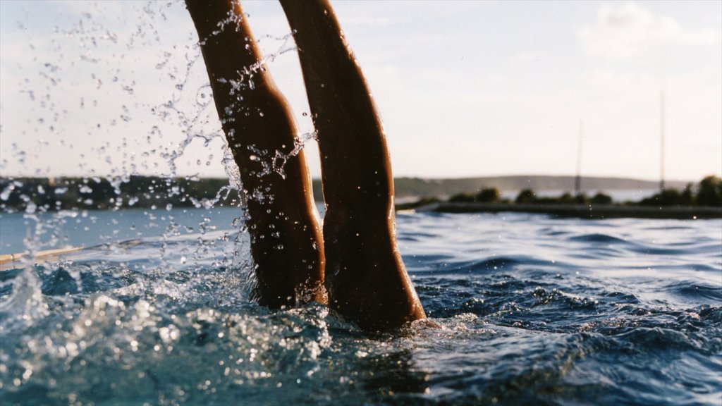 Anguila mostrando natación