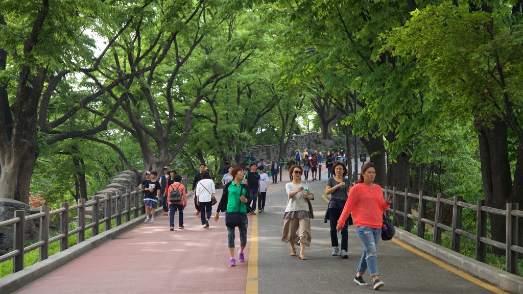 Namsan Park featuring hiking or walking and a garden as well as a small group of people