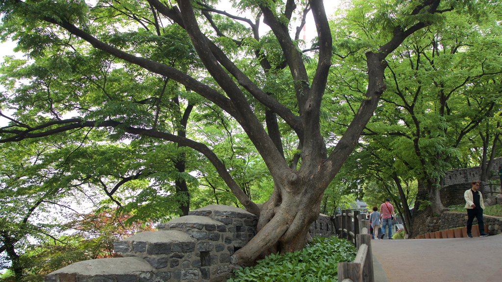 Parque de Namsan que inclui um jardim