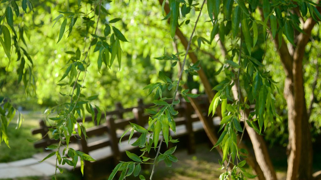 Bosque de Seúl ofreciendo un jardín y un puente