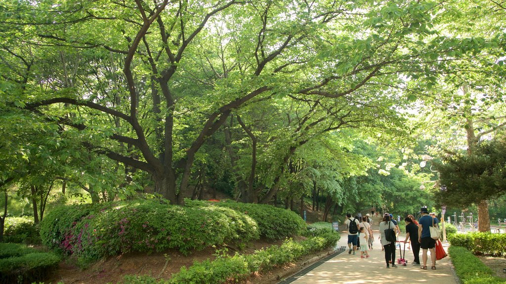 Parque Yongsan que incluye jardín y también un pequeño grupo de personas