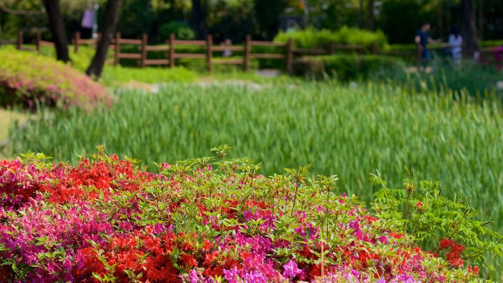 Parque Yongsan que incluye flores silvestres y un parque