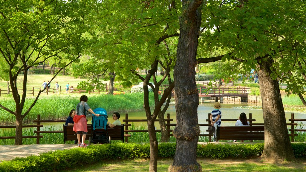 Parque Yongsan mostrando un parque y un estanque y también un pequeño grupo de personas